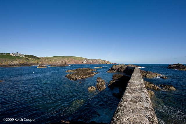 harbour wall st abbs