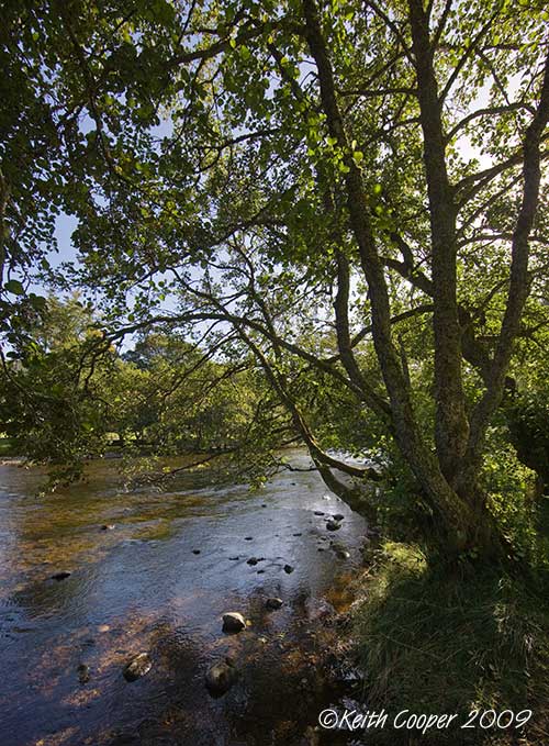 glen lyons river at balgie