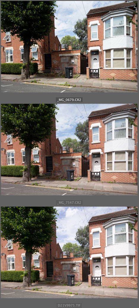 comparing three different Canon cameras