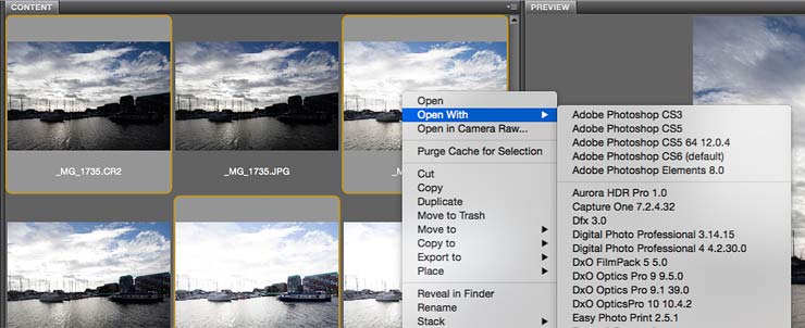 opening RAW files from adobe bridge