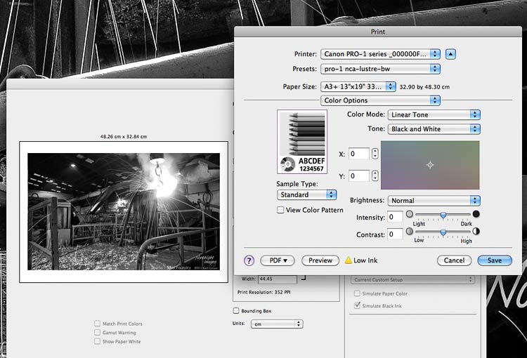 tint adjustment for monochrome printing