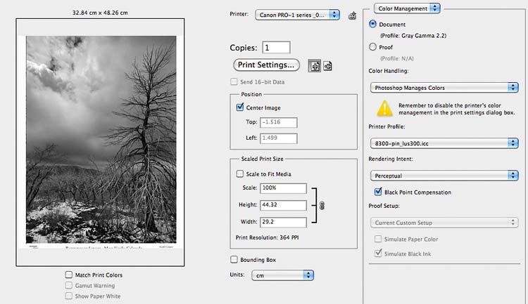 margin size and print area