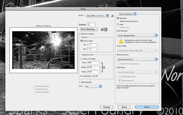 black and white printing mode