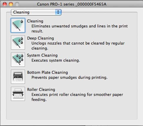 cleaning options in the printer utility software