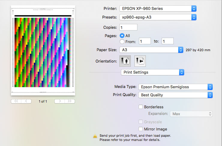 print setup for colour profiling