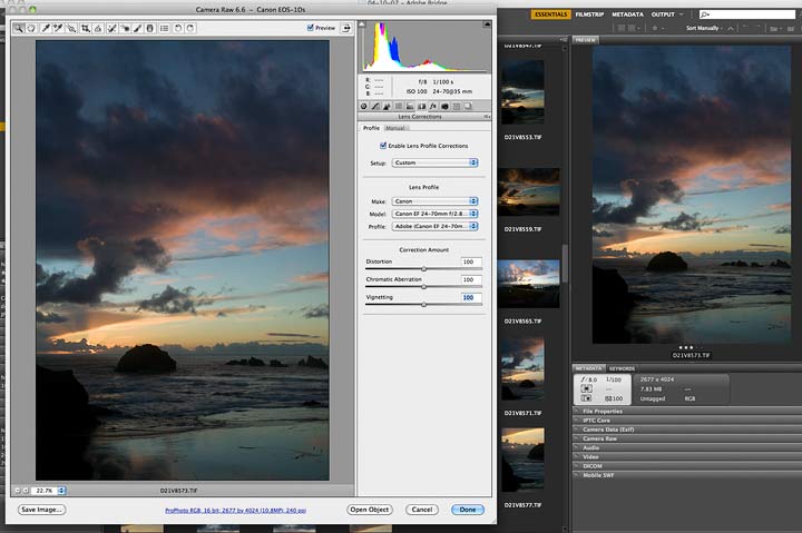 image and lens corrections for RAW conversion