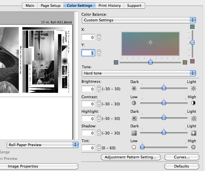 tint adjustment for B&W printing