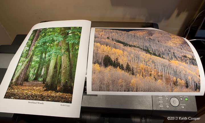 two prints on matte cotton rag paper