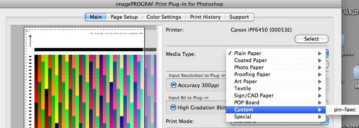 select paper type in plugin