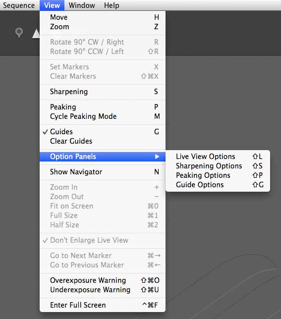 software options and menu details