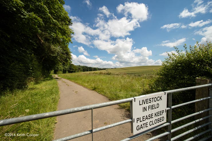 farm gate in the English countryside