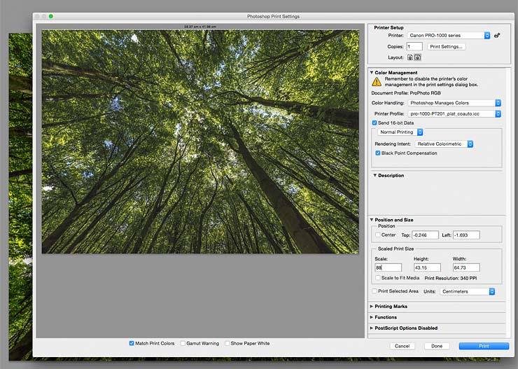 borderless printing from photoshop