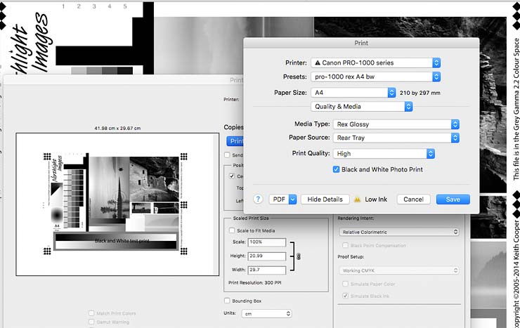 using the B&W print mode