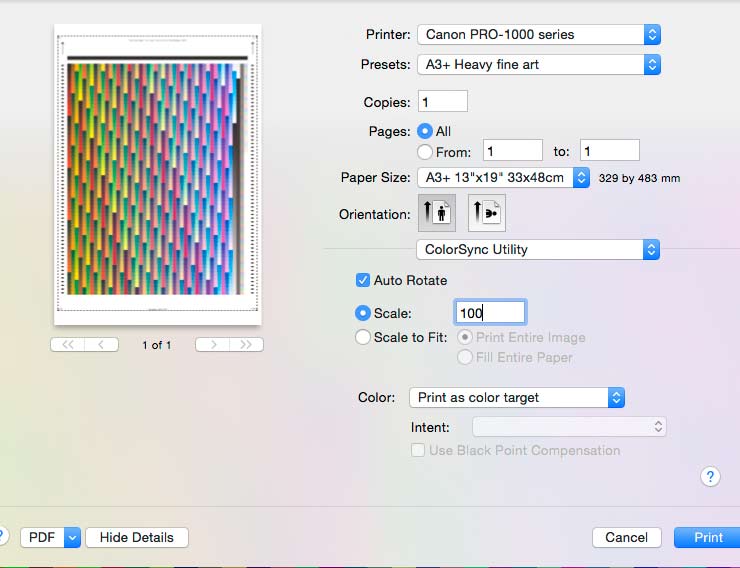 print setup for profiling target
