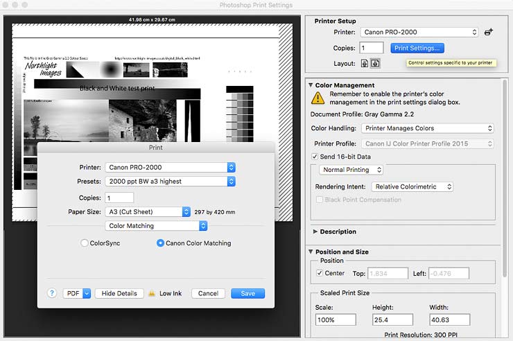 ensuring that the printer driver takes care of B&W printing