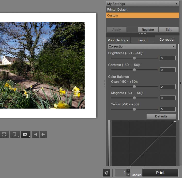 image adjustment options