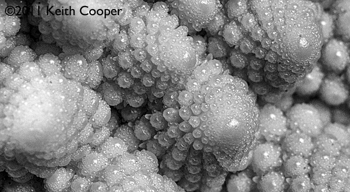 repetative fractal patterns in romanesco