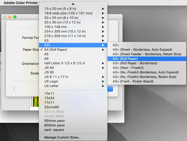 paper settings in print driver.