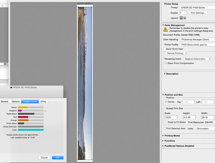 ink levels before making large panoramic print