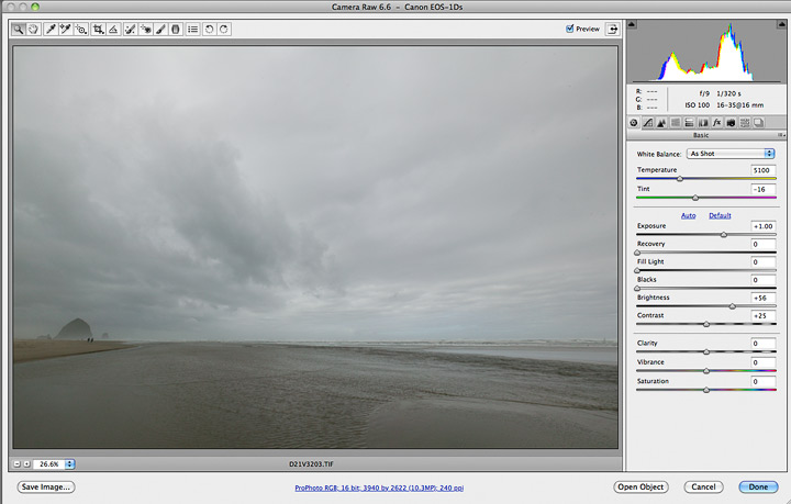 raw image processing settings