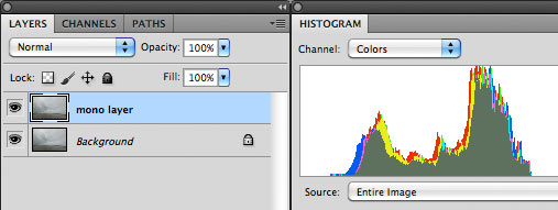 layer duplication - monochrome layer