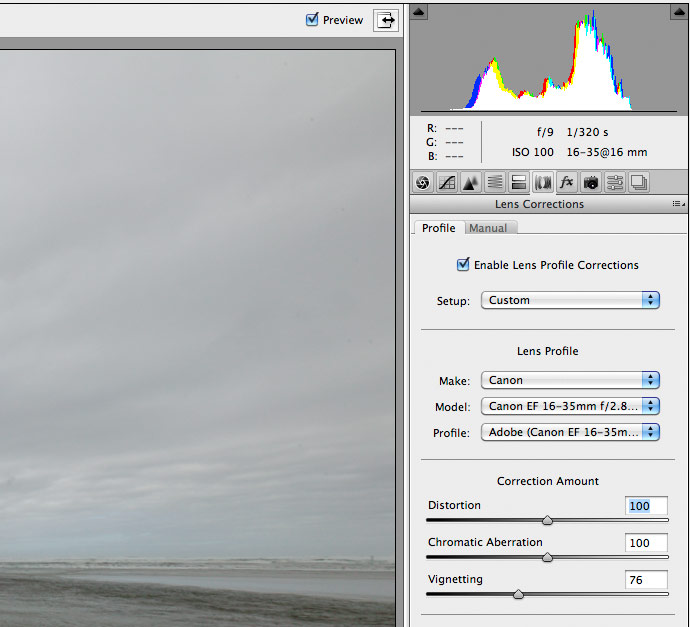 raw adjustment settings for image correction