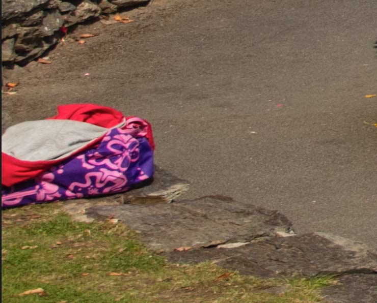 item of clothing to be removed from image