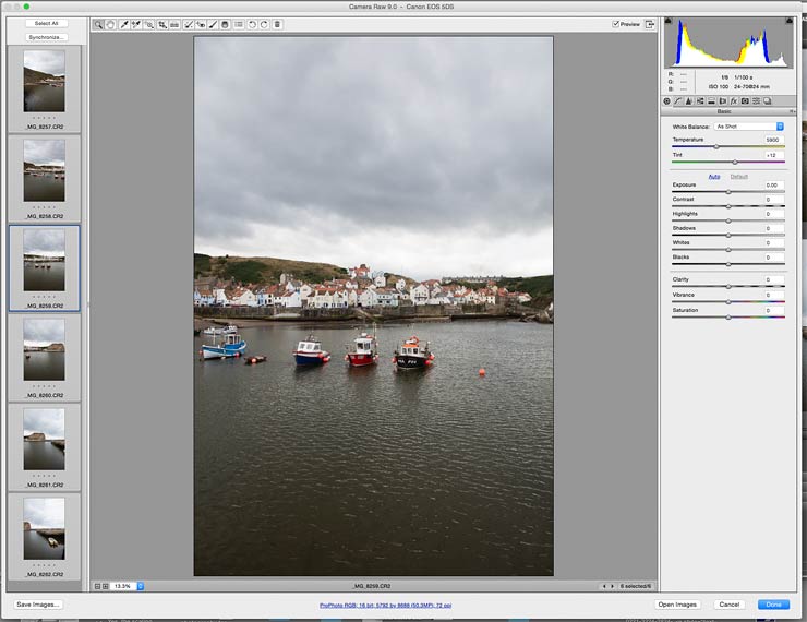 raw image processing parameters