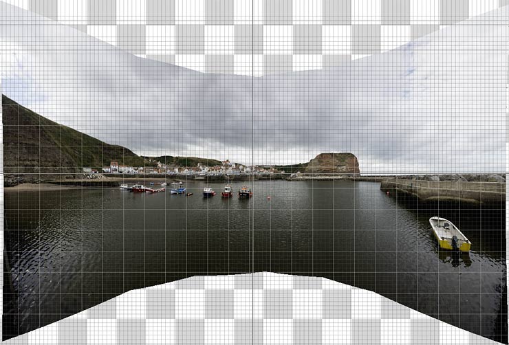 pannini projection