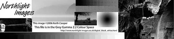 strip version of black and white print test