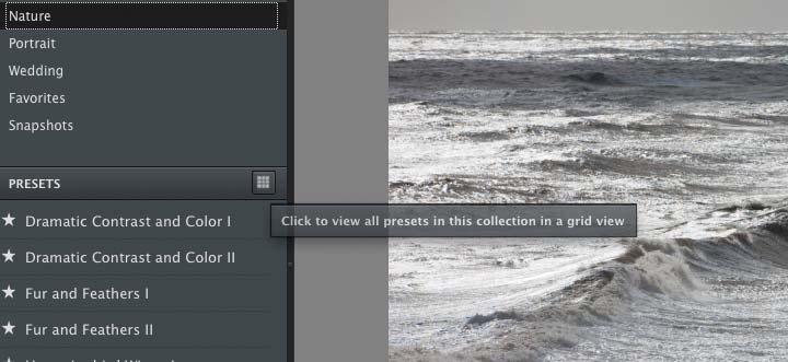 image adjustment presets