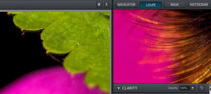 loupe view
