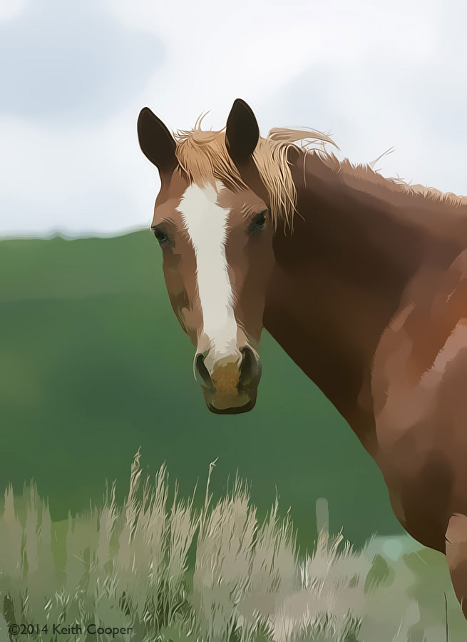 the curious horse