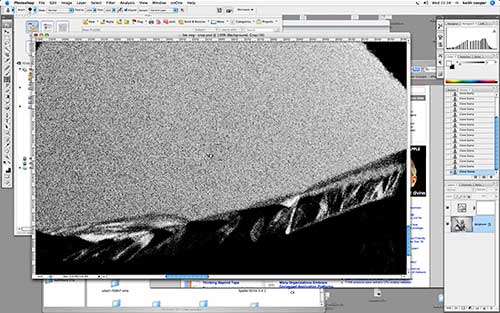 Film grain visible in scan film grain visible in scan