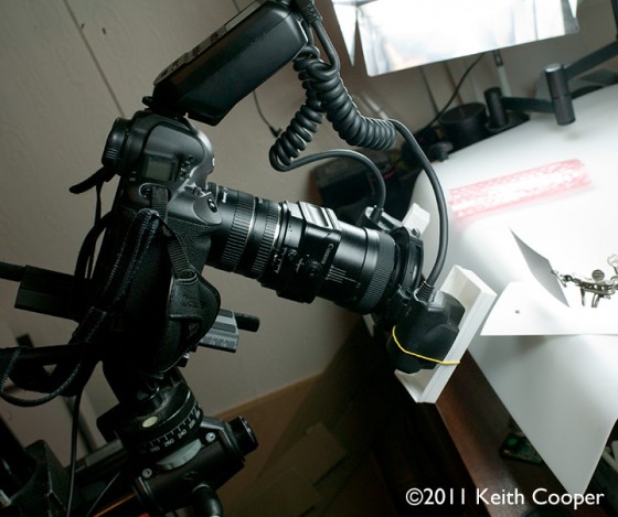macro macrophotography setup with 90mm tilt shift lens