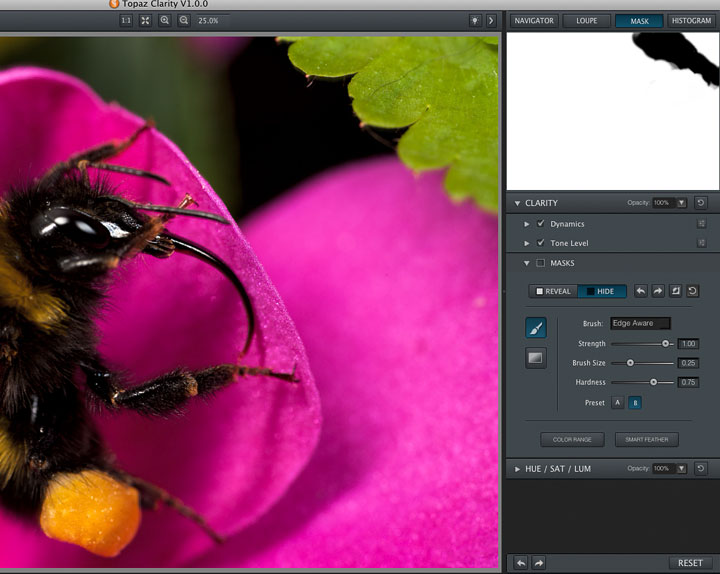 Hover Image