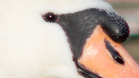 Hover Image