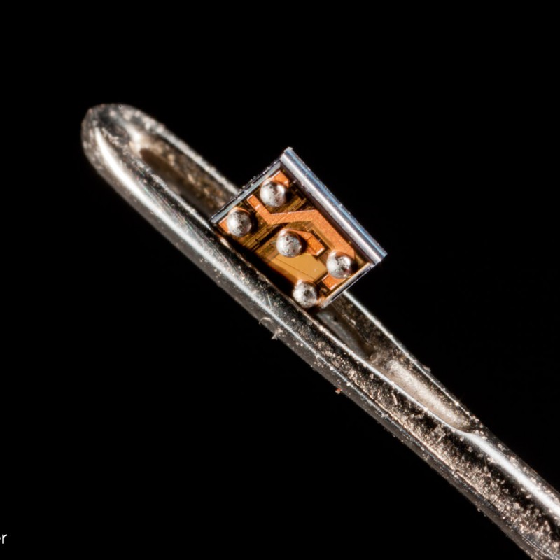 Microchip