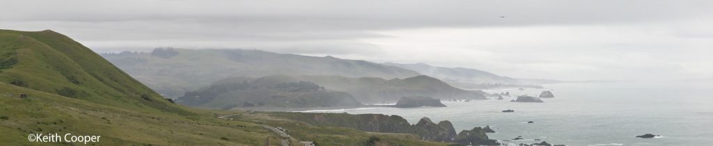 N. California coast