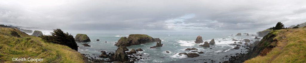 N. California coast view