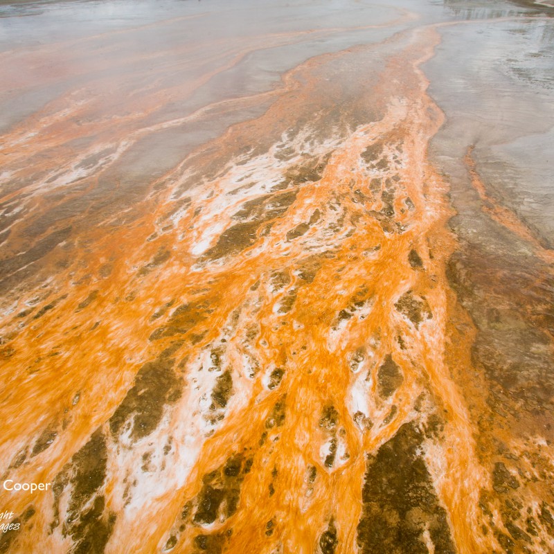 Orange slime 1