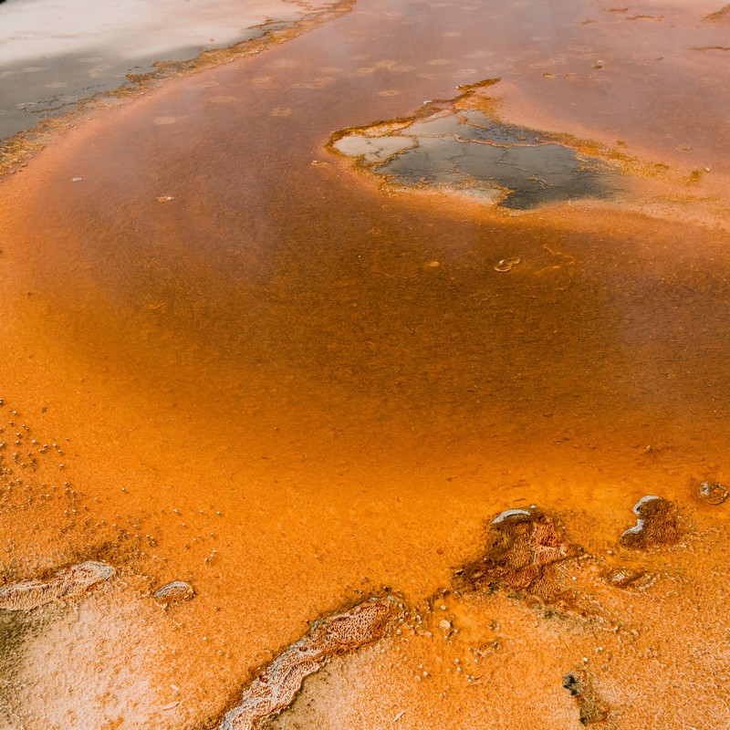 Orange slime 2