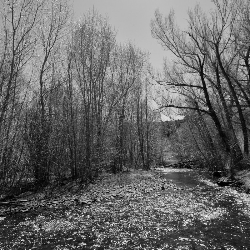Beaver Creek