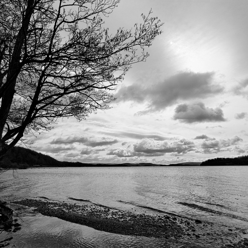 Loch Lomond shore