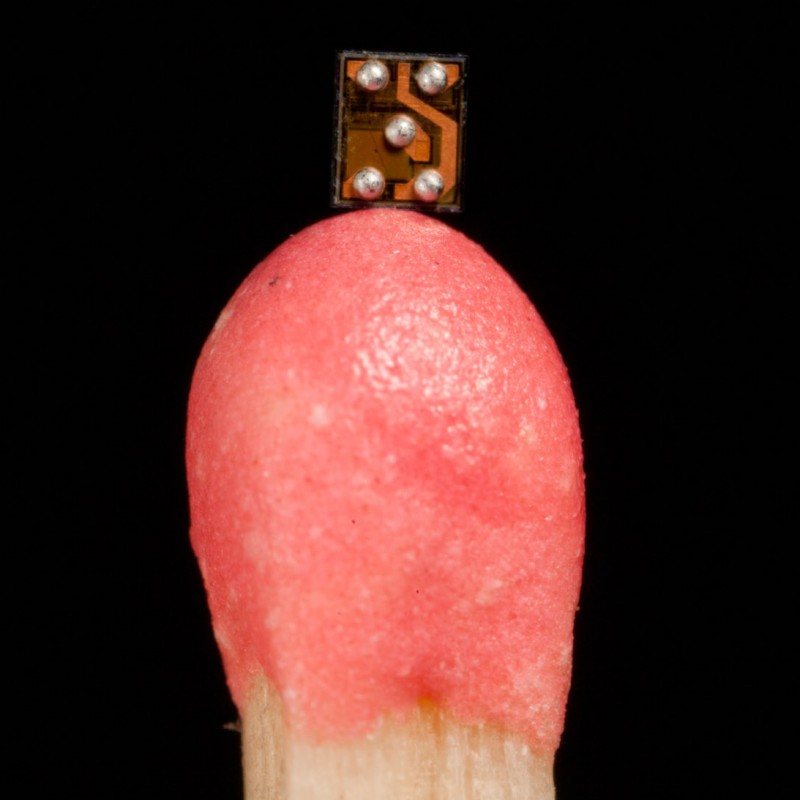 Component on head of match