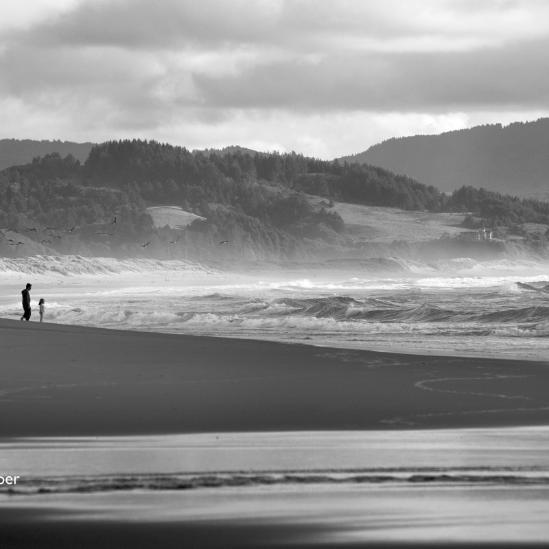Pacific city beach