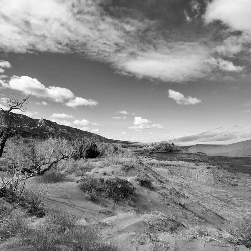 Great Sand Dunes 2