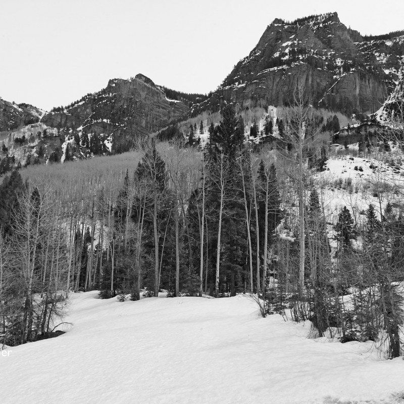 Spring Snow 3