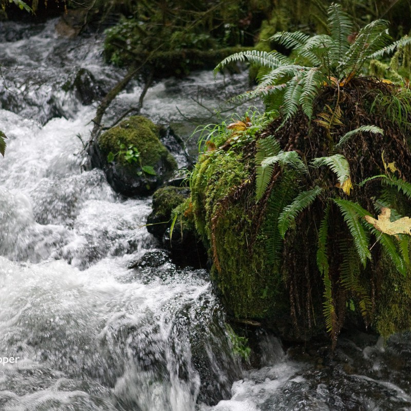 Cascades river 4