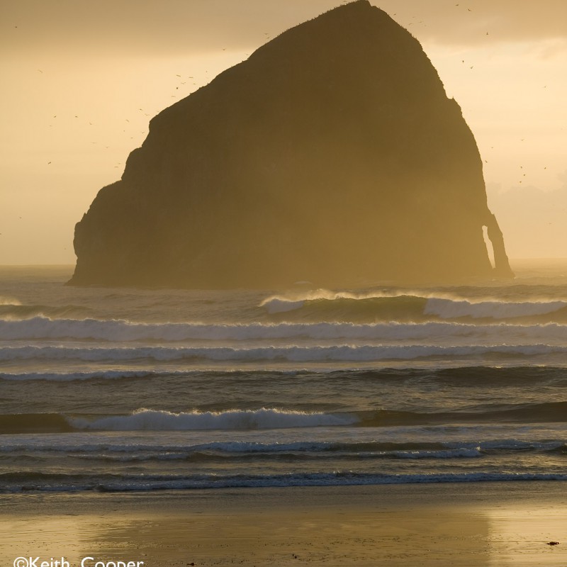 Haystack rock sunset